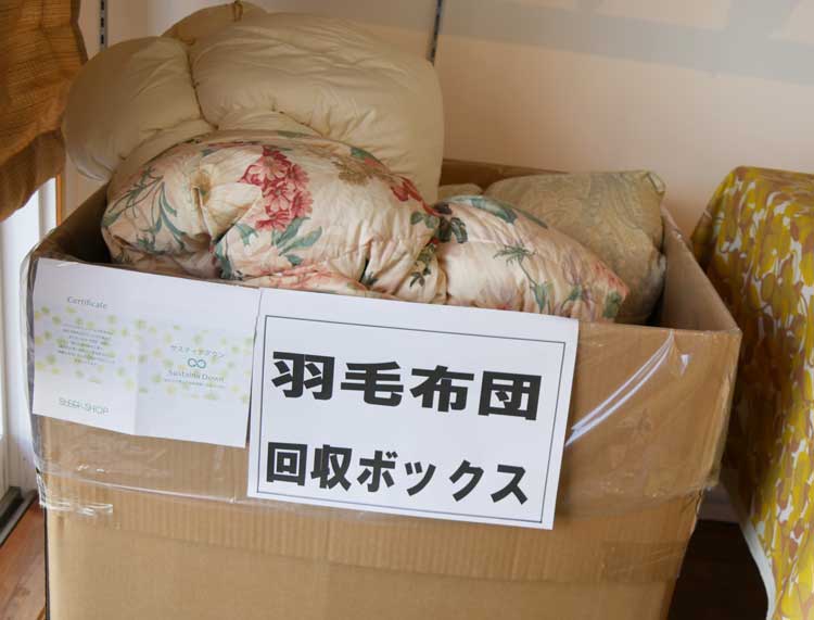 羽毛回収