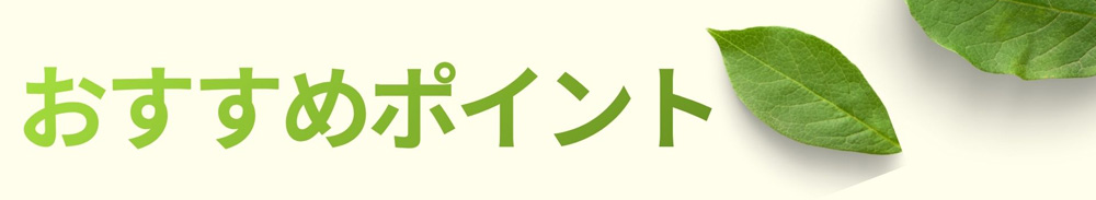 大人のデスクのおすすめポイント