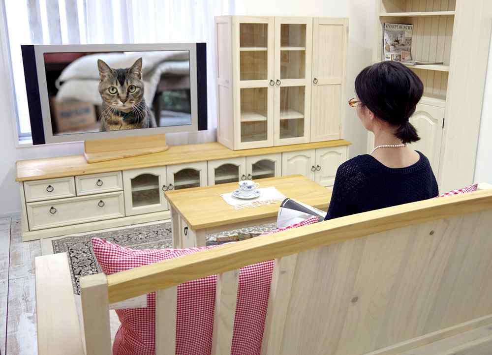 キャビネット付大型テレビ台